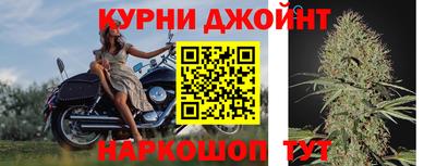 эйфоретик Дубна