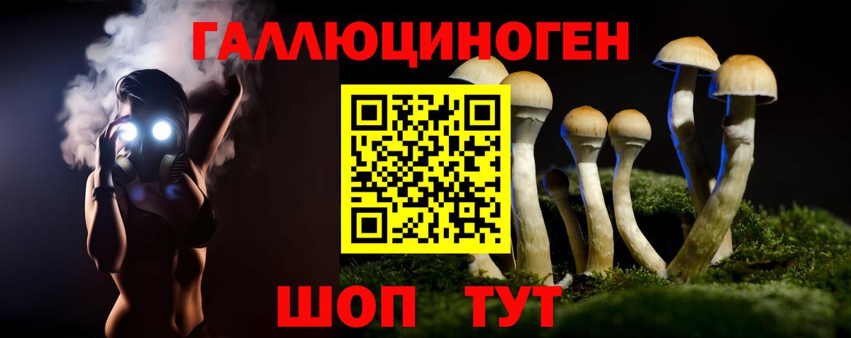 Галлюциногенные грибы Psilocybe  Вход с VPN  Бирск 